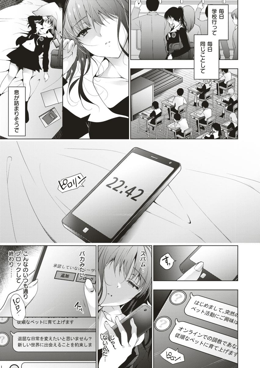 退屈な日常に刺激が欲しくて画面の向こうの誰かにペットにされる変態JK...毎日来る指令をこなし写真を送ることを繰り返し教室でディルドで破瓜オナニーしているとご主人様に目隠しされ弱いとこ責められ中出しセックス【にの子:画面越しのパラフィリア】