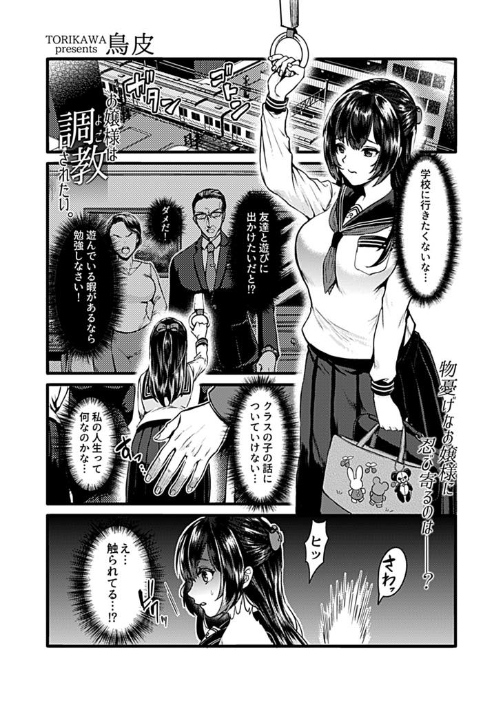 抑圧された生活にうんざりしていると痴漢され目覚めてしまう巨乳お嬢様JK...同じ男に痴漢されもっとイケナイことを教えてもらい気持ちいいことを我慢できず中出しセックス【鳥皮:お嬢様は調教されたい。】