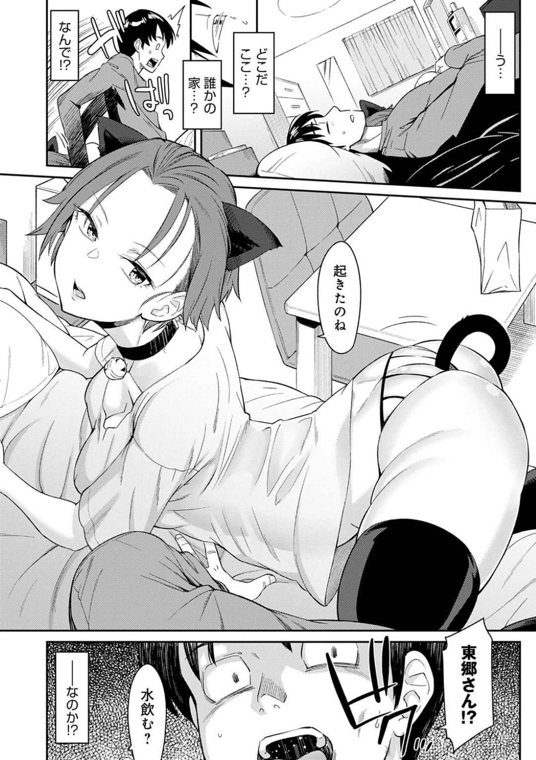 バイト先の飲み会のあと酔いつぶれた同僚男子をお持ち帰りするクール美人爆乳お姉さん…目覚めた男子に猫コスプレを披露して甘えまくりギャップに戸惑いつつも興奮する男子をフェラとパイズリでヌイたあとイチャラブ生ハメ中出しセックスしてイキまくる【折口ヒラタ：キャットインパクト】