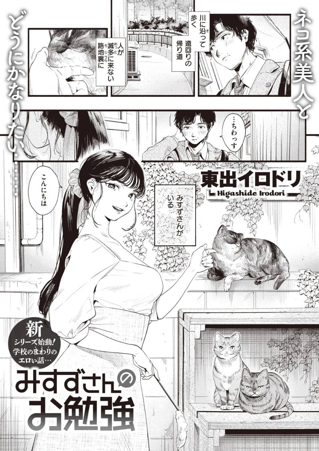 路地裏で猫と戯れながら気弱な男子を逆セクハラして誘惑するネコ系肉食美人お姉さん…猫語で言葉責めしながらフェラやパイズリしていじめまくり騎乗位で強制中出し逆レイプして精液を搾り取る【東出イロドリ：みすずさんのお勉強】