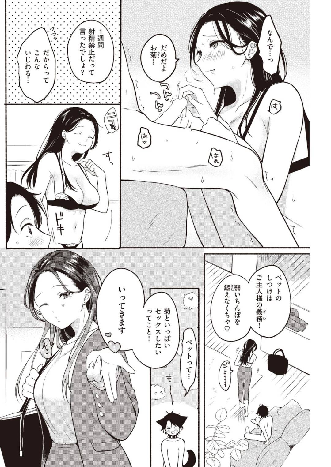 マゾ彼氏に貞操帯をつけて射精管理し、逆調教しまくる爆乳肉食美人OL…フル勃起状態のペニスを手コキフェラやパイズリで焦らしまくり、言葉責めしながら騎乗位で素股して大量射精させる【小中えみ：箱庭シャングリラ】