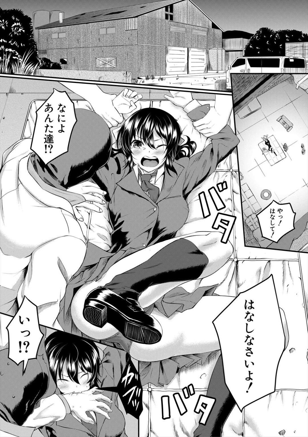 帰宅途中に突然鬼畜な男たちに拉致された美少女JK妹…無理やり服を脱がされて激しく犯され、連続中出し輪姦レイプで陵辱され尽くす【平野河重：愚兄】