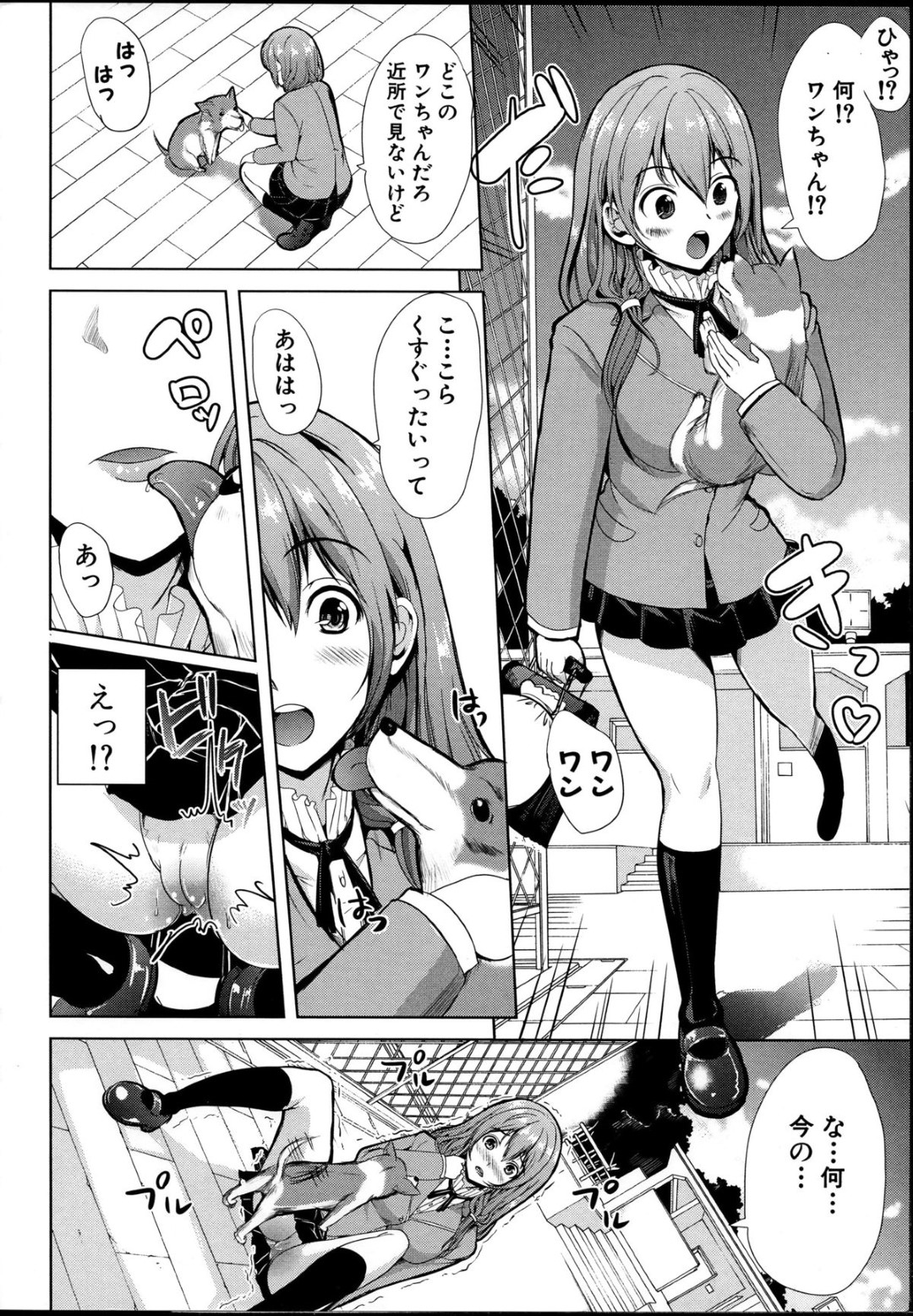 転校生の男子に飼い主になってほしいと迫り、ボンテージ姿でエッチを誘う変態美少女JK…ご奉仕フェラやパイズリや６９に興奮しまくり、夜の公園を露出散歩しながら青姦調教セックスしてマゾ絶頂【弥美津ヒロ：飼い主様になってよネッ！前編】
