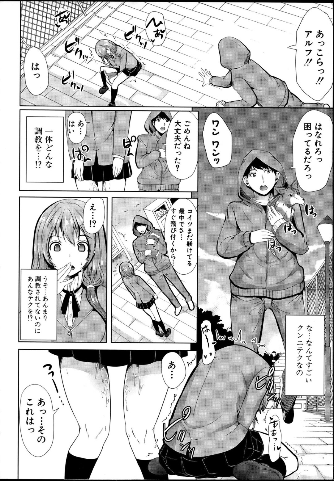 転校生の男子に飼い主になってほしいと迫り、ボンテージ姿でエッチを誘う変態美少女JK…ご奉仕フェラやパイズリや６９に興奮しまくり、夜の公園を露出散歩しながら青姦調教セックスしてマゾ絶頂【弥美津ヒロ：飼い主様になってよネッ！前編】