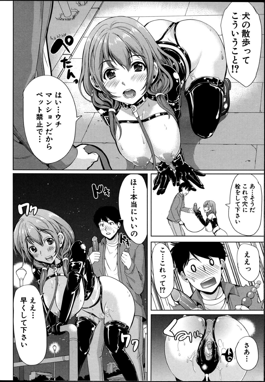 転校生の男子に飼い主になってほしいと迫り、ボンテージ姿でエッチを誘う変態美少女JK…ご奉仕フェラやパイズリや６９に興奮しまくり、夜の公園を露出散歩しながら青姦調教セックスしてマゾ絶頂【弥美津ヒロ：飼い主様になってよネッ！前編】