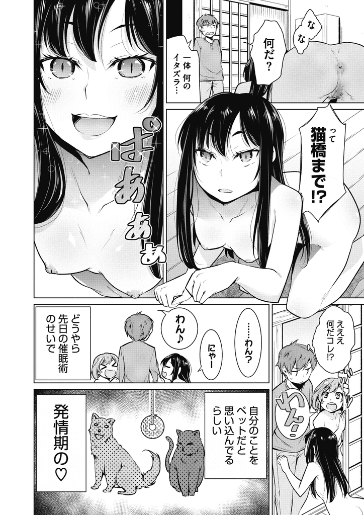 催眠術を掛けられたことで犬や猫になりきって男に飼われてしまっているドスケベボディの巨乳女と貧乳女...二人揃って大人のおもちゃで調教されて従順な肉便器と化しそのまま生ハメ中出しセックス【ゆきりたかし:なりきりワンニャン】