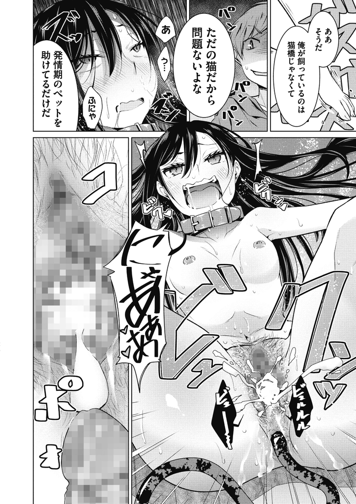 催眠術を掛けられたことで犬や猫になりきって男に飼われてしまっているドスケベボディの巨乳女と貧乳女...二人揃って大人のおもちゃで調教されて従順な肉便器と化しそのまま生ハメ中出しセックス【ゆきりたかし:なりきりワンニャン】