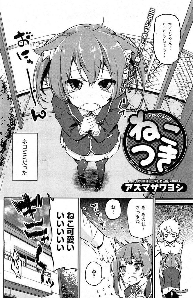 道端で遭遇した謎の猫の神に猫耳と尻尾を付けられてしまったロリボディがエッチな貧乳女子高生...幼馴染の男にマタタビを振りかけられて発情してしまい快楽に身を任せながら幼馴染と絶頂中出しセックス【アズマサワヨシ:ねこつき】